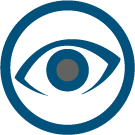 vision